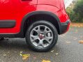 Fiat Panda RED MHEV 24