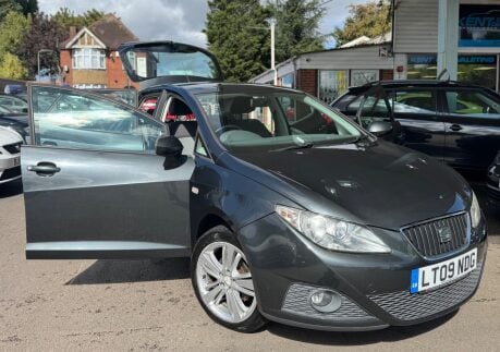 SEAT Ibiza 1.4 16V SE Euro 4 5dr 29