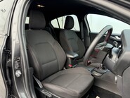 Ford Focus ST-LINE EDITION 1.0TMHEV [155] 17