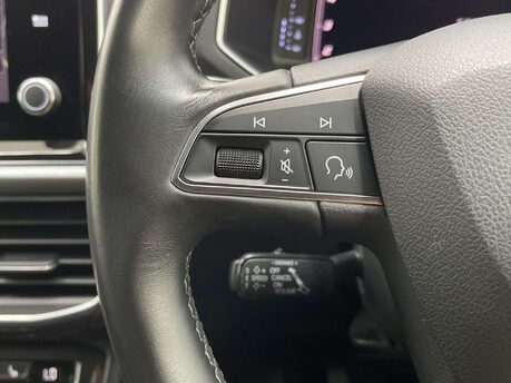 SEAT Tarraco 2.0 Tarraco Xcellence Luxury TDI 5dr 33