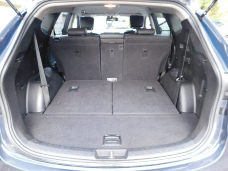 Hyundai SANTA FE 2.2 CRDI PREMIUM BLUE DRIVE 7 SEAT 5dr 20