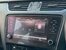 Skoda Octavia 1.4 TSI SE DSG Euro 6 (s/s) 5dr 19