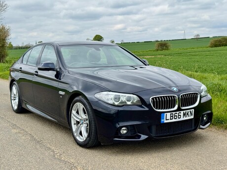 BMW 5 Series 2.0 520d M Sport Auto Euro 6 (s/s) 4dr