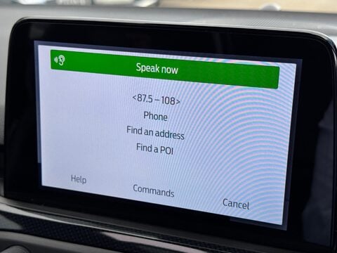 Ford Focus 2.0 EcoBlue ST Euro 6 (s/s) 5dr 29