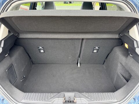 Ford Fiesta 1.0T EcoBoost Titanium Euro 6 (s/s) 5dr 51