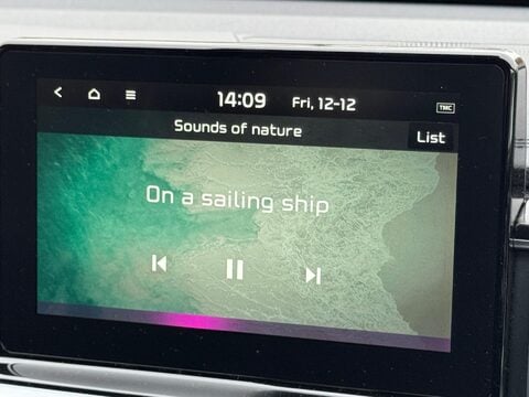 Kia Pro Ceed 1.6 T-GDi GT Shooting Brake DCT Euro 6 (s/s) 5dr 11