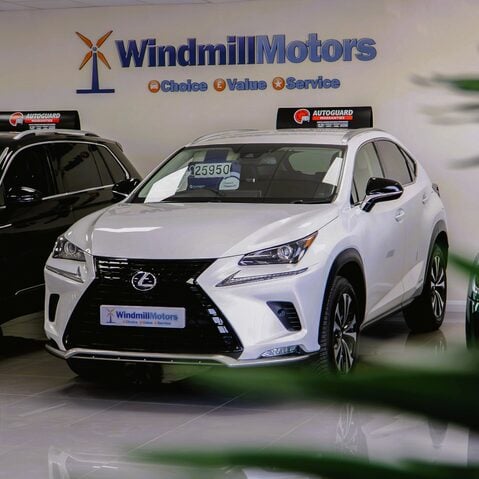 Welcome to Windmill Motors 2