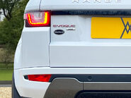 Land Rover Range Rover Evoque TD4 HSE DYNAMIC 23