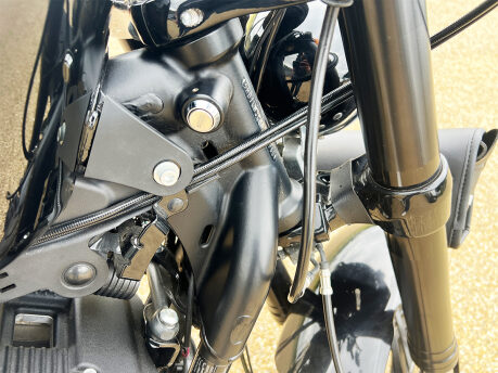 Harley-Davidson Sportster Iron XL 1200 CX ROADSTER 17 19