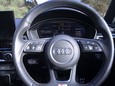 Audi S4 S4 TDI QUATTRO BLACK EDITION MHEV 13