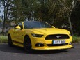 Ford Mustang GT 14