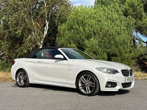 BMW 2 Series 2.0 218d M Sport Euro 6 (s/s) 2dr 38