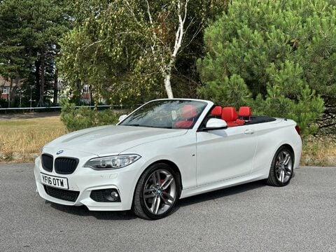 BMW 2 Series 2.0 218d M Sport Euro 6 (s/s) 2dr 31