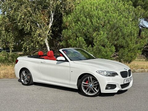 BMW 2 Series 2.0 218d M Sport Euro 6 (s/s) 2dr 26