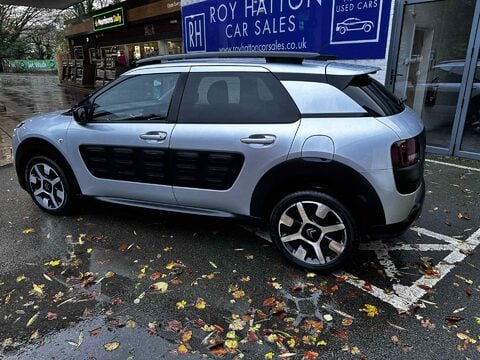Citroen C4 Cactus BLUEHDI FLAIR 6