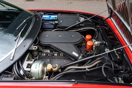 Ferrari 365 GTB/4 Daytona 24