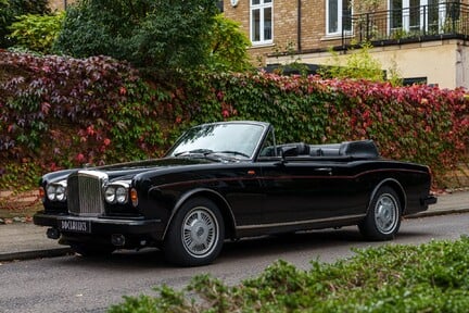 Bentley Continental Convertible 1