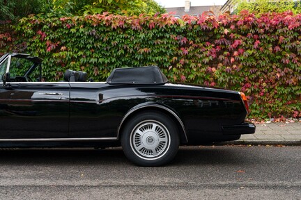 Bentley Continental Convertible 14