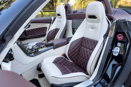 Mercedes-Benz SLS AMG GT ROADSTER 22