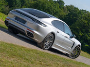 Porsche Panamera 4 E-Hybrid Platinum Edition 18