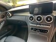 Mercedes-Benz C Class C 300 AMG LINE PREMIUM 38