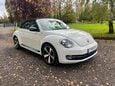 Volkswagen Beetle 60S EDITION TDI 4