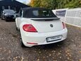 Volkswagen Beetle 60S EDITION TDI 16