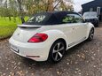 Volkswagen Beetle 60S EDITION TDI 19