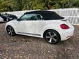 Volkswagen Beetle 60S EDITION TDI 13