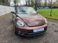 Volkswagen Beetle DESIGN TSI BLUEMOTION TECHNOLOGY 5