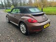 Volkswagen Beetle DESIGN TSI BLUEMOTION TECHNOLOGY 4