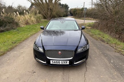 Jaguar XF PORTFOLIO 21