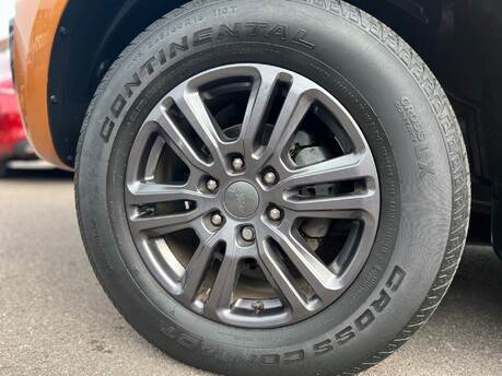 Ford Ranger WILDTRAK ECOBLUE 7