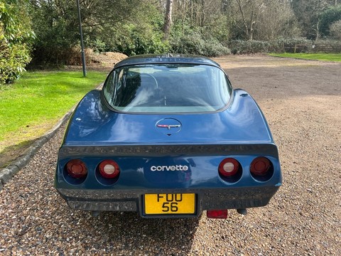 Chevrolet Corvette Stingray 1981 coupe/targa 6