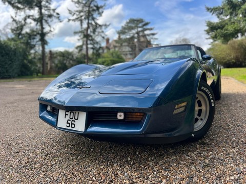 Chevrolet Corvette Stingray 1981 coupe/targa 13