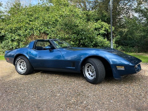 Chevrolet Corvette Stingray 1981 coupe/targa 14