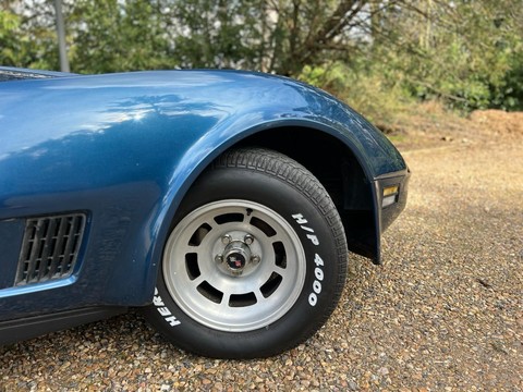 Chevrolet Corvette Stingray 1981 coupe/targa 16