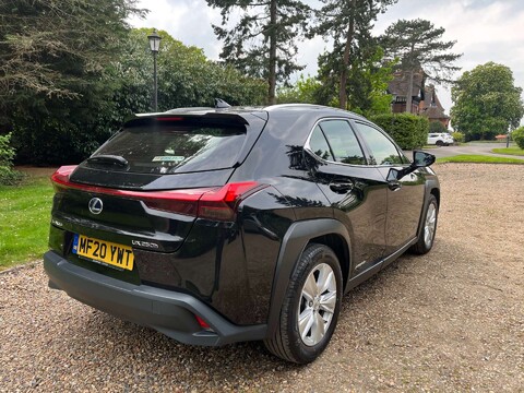 Lexus Ux 2.0 UX 250h 4x2 CVT 5dr 7