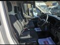 Ford Transit 310 LEADER P/V ECOBLUE 7