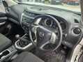 Nissan Navara DCI VISIA SHR DCB 8