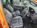 Ford Ranger WILDTRAK TDCI 8