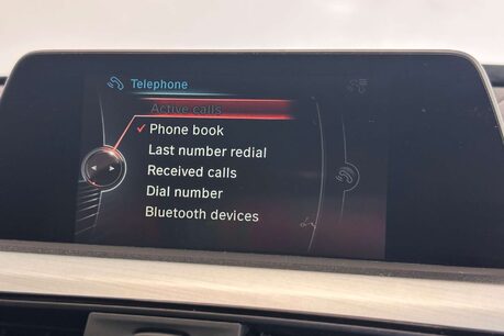 BMW 3 Series 3.0 335d M Sport Saloon 4dr Diesel Auto xDrive Euro 6 (s/s) (313 ps) 28