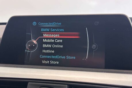 BMW 3 Series 3.0 335d M Sport Saloon 4dr Diesel Auto xDrive Euro 6 (s/s) (313 ps) 32