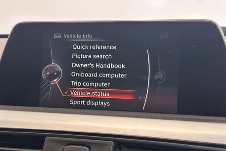 BMW 3 Series 3.0 335d M Sport Saloon 4dr Diesel Auto xDrive Euro 6 (s/s) (313 ps) 33