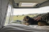 Swift Trekker 10