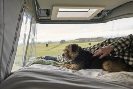 Swift Trekker 10