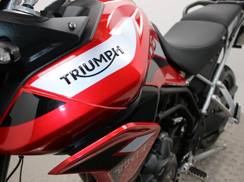 Triumph Tiger 900 TIGER 900 GT PRO 21