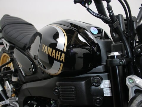 Yamaha XSR125 Legacy -- Ceramic Coated + Extras 12