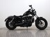 Harley-Davidson Sportster Forty-Eight XL 1200 X FORTY EIGHT 15 