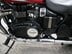 Triumph Speedmaster 800 SPEED MASTER 790 19